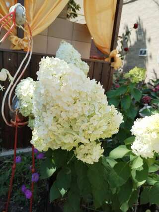 Гостиница У Петровича Приморский-4