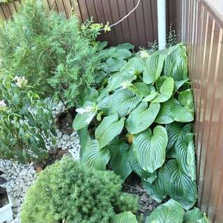 Гостиница У Петровича Приморский-6